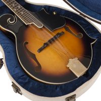 Gator GW-JM-MANDOLIN étui pour mandoline - Vue 10